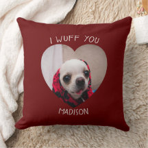 Chihuahua niedlich wuchsen Sie Liebe Valentinische