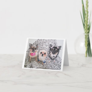 Chihuahua Notecards Karte