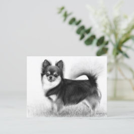 Chihuahua - Originelle Kunst Postkarte