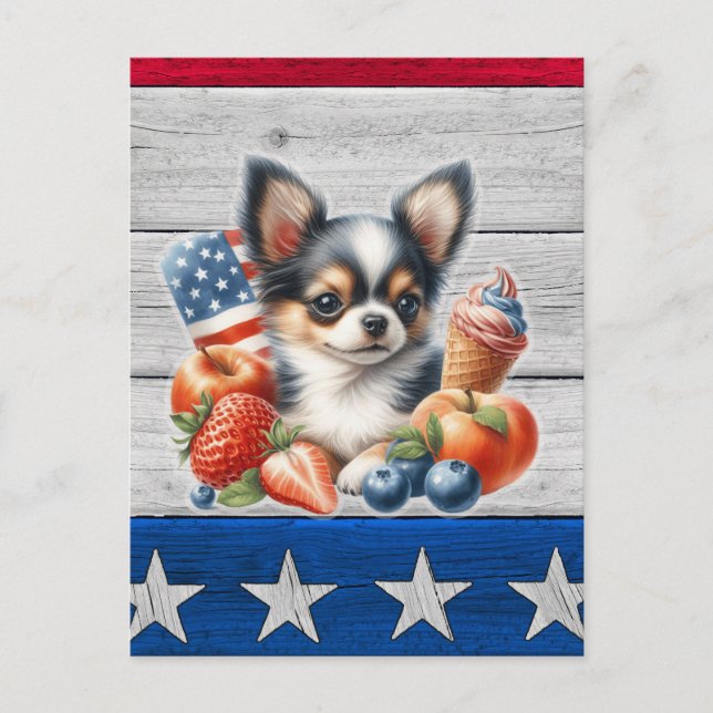 Chihuahua Patriotic Fruit USA Long Hair Chihuahua Postkarte (Vorderseite)