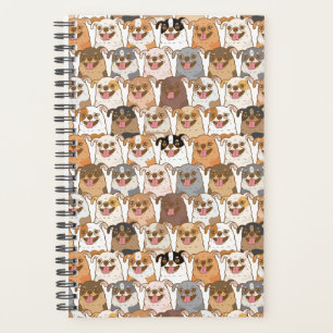 Chihuahua Pattern Planer