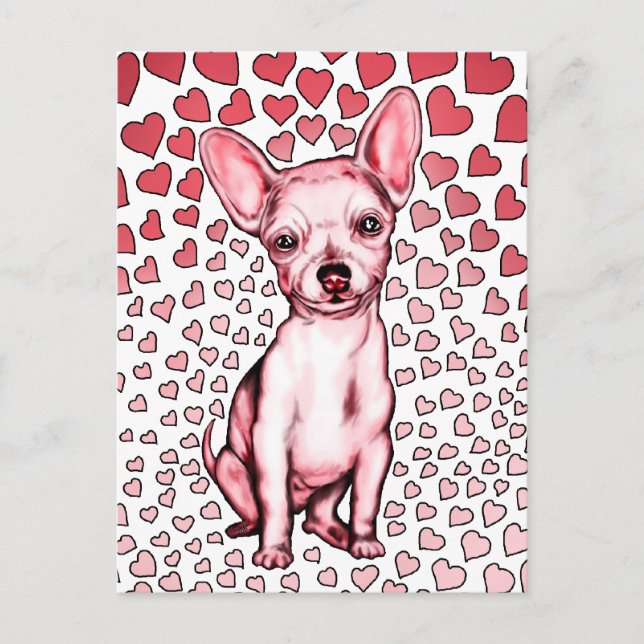 Chihuahua Pink Hearts Valentinstag Feiertagspostkarte (Vorderseite)