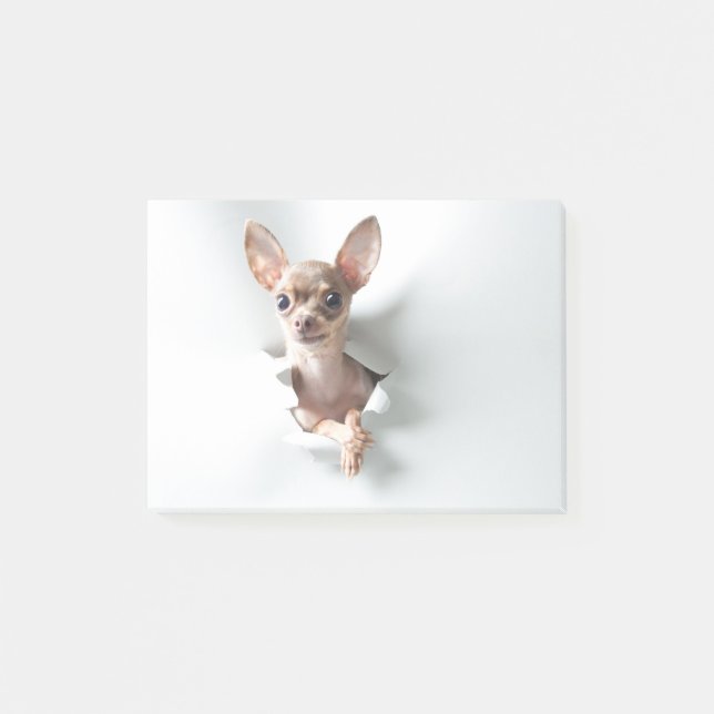 Chihuahua Post-it Klebezettel (Vorderseite)