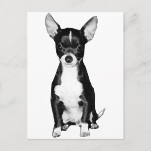 Chihuahua Postcard Postkarte