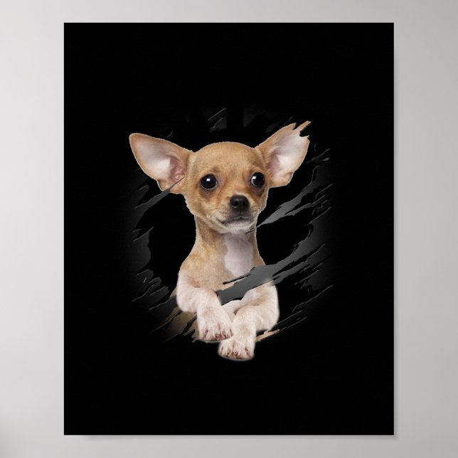 Chihuahua Poster (Vorne)