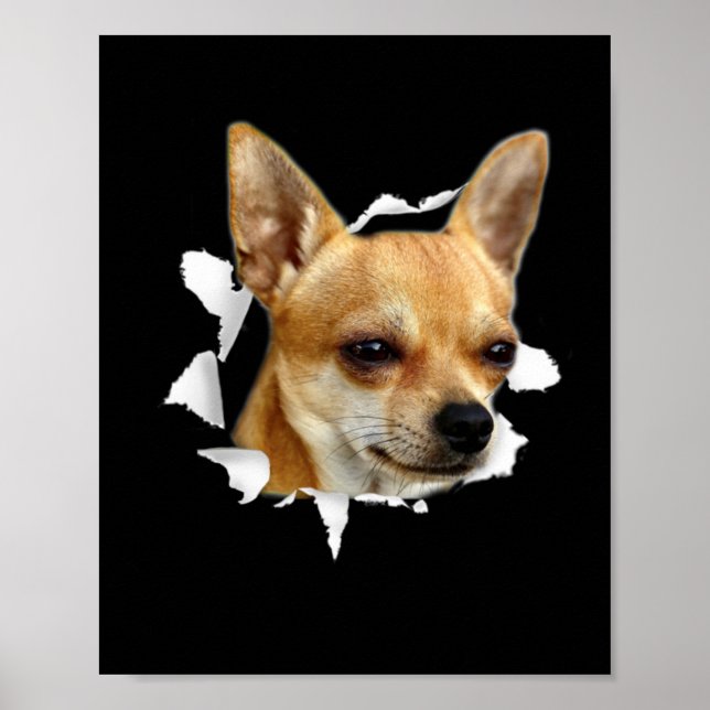Chihuahua Poster (Vorne)