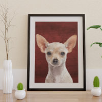 Chihuahua Poster