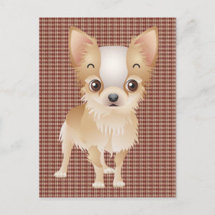 Chihuahua Postkarte