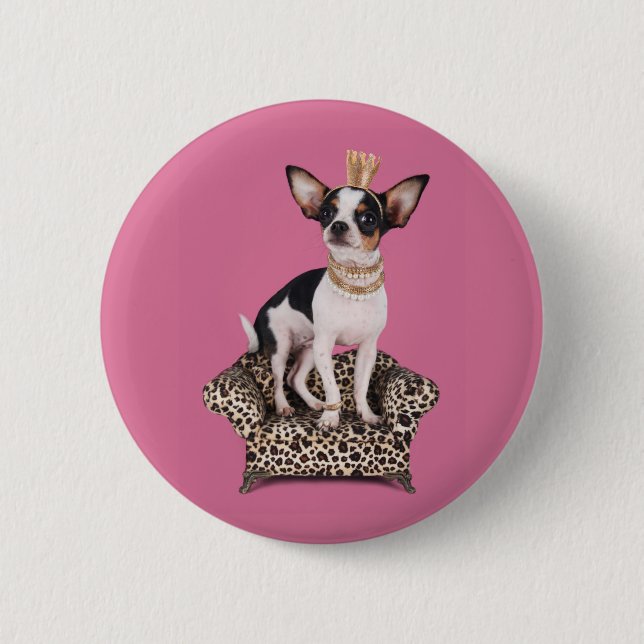 Chihuahua-Prinzessin Button (Vorderseite)