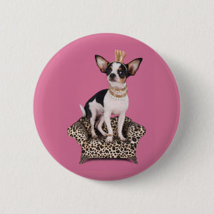 Chihuahua-Prinzessin Button