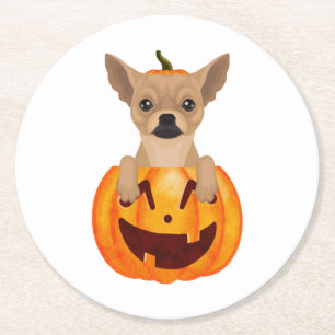 Chihuahua Pumpkin Runder Pappuntersetzer