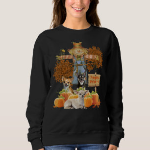 Chihuahua Pumpkins Patch Sweatshirt