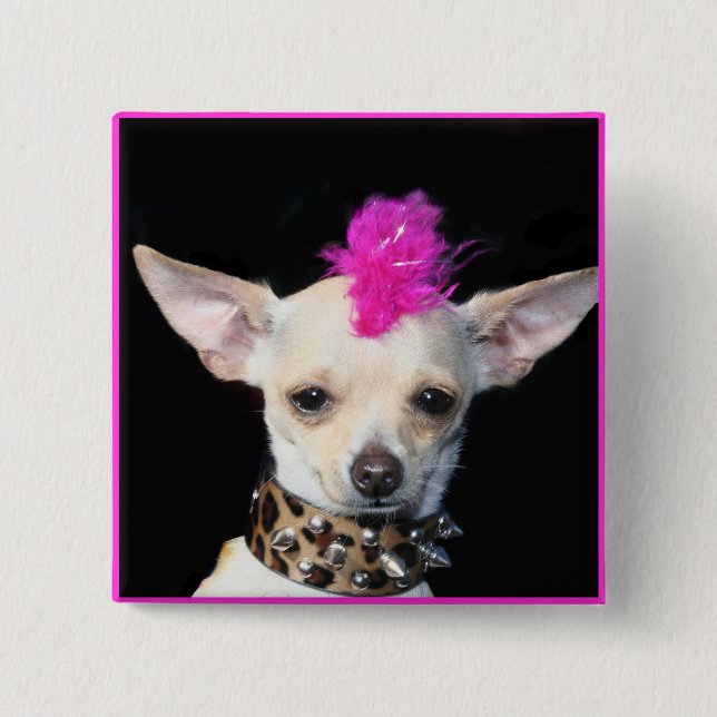 Chihuahua-Punk-Knopf Button (Vorderseite)