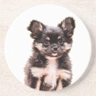 Chihuahua Puppy Dog Sandstein Untersetzer