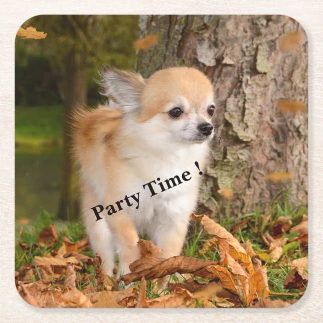 Chihuahua Rechteckiger Pappuntersetzer (Vorderseite)