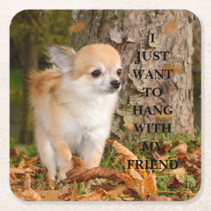 Chihuahua Rechteckiger Pappuntersetzer