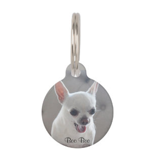 Chihuahua-Rundhalsband-Anhänger mit Foto Tiermarke