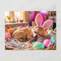Chihuahua schläft in Osterkörbchen