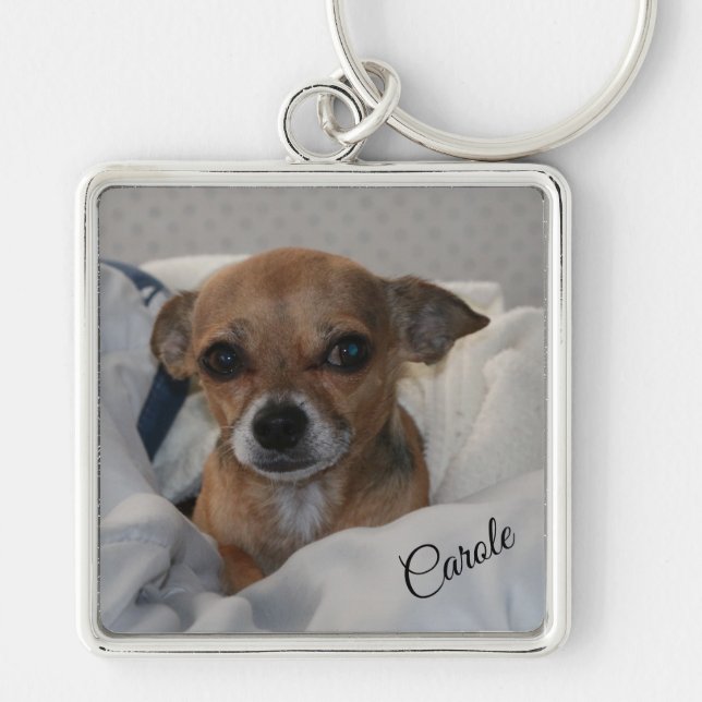 Chihuahua Schlüsselanhänger (Vorne)