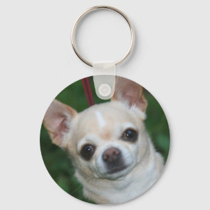 Chihuahua Schlüsselanhänger