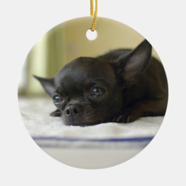 Chihuahua-Schwarz Keramik Ornament (Vorne)