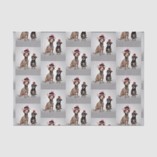 Chihuahua Seidenpapier