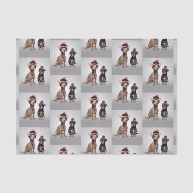 Chihuahua Seidenpapier (Vorderseite)