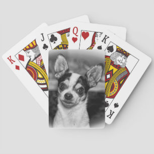 Chihuahua Spielkarten