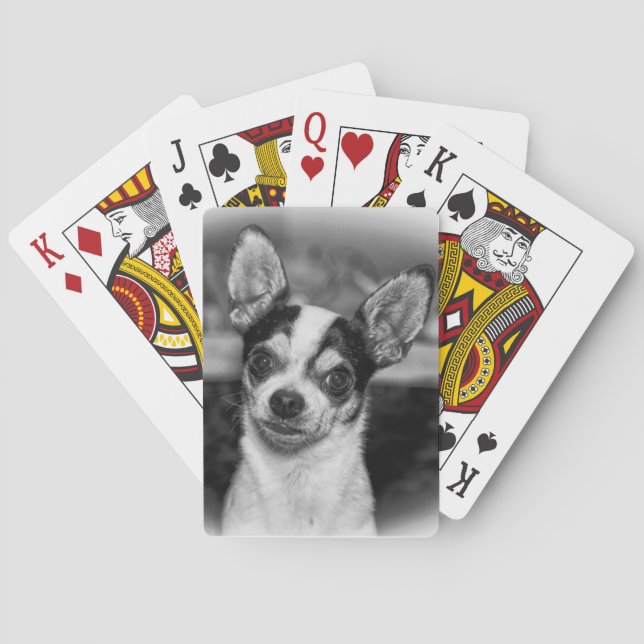 Chihuahua Spielkarten (Rückseite)