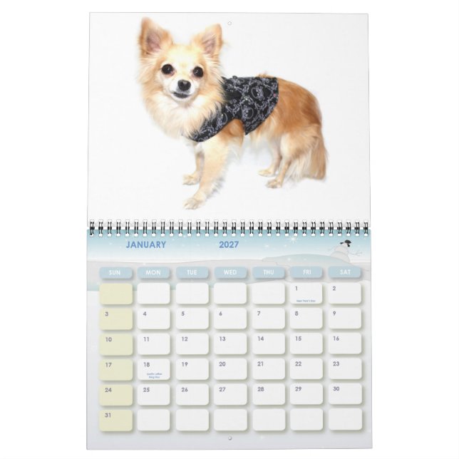 Chihuahua-Störung 2011 - Kalender (Jan 2027)