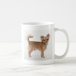 Chihuahua Tasse
