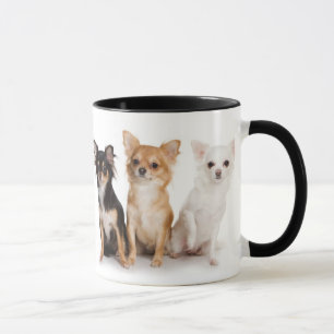Chihuahua-Tasse Tasse