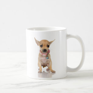 Chihuahua-Tasse Tasse