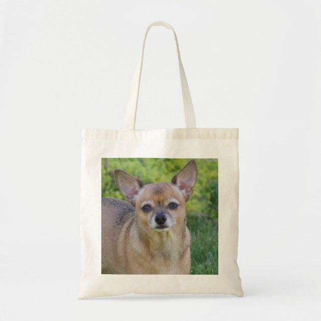 Chihuahua Tragetasche (Vorne)
