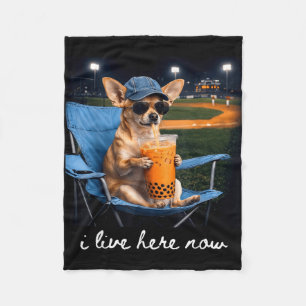 Chihuahua trinkt Eiskaffee Baseballfeld live Fleecedecke