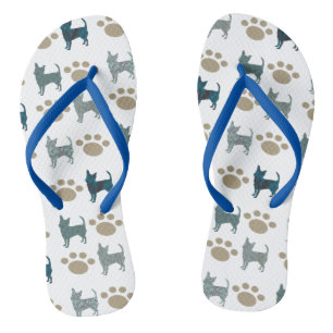 Chihuahua und Paw Flip Flops