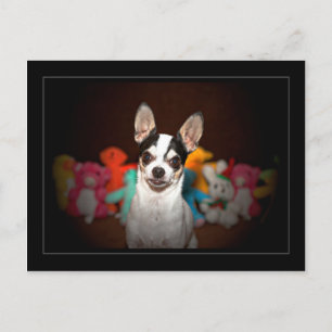 Chihuahua und Spielzeug Postkarte