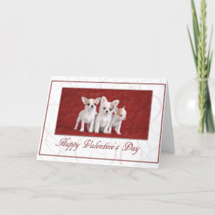 Chihuahua Valentinkarte 2 Feiertagskarte