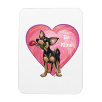 Chihuahua-Valentinstag