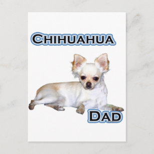 Chihuahua-Vater 4 Postkarte