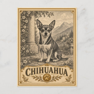 Chihuahua, Vintage-Hundertrasse Postkarte