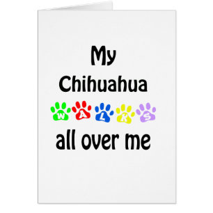 Chihuahua Walks Design