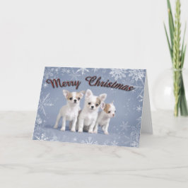 Chihuahua Weihnachten