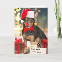 Chihuahua Weihnachten