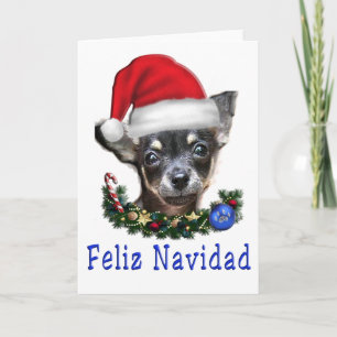 Chihuahua Weihnachten