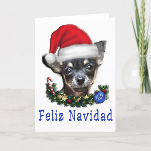 Chihuahua Weihnachten