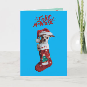 Chihuahua Weihnachten Ankündigung