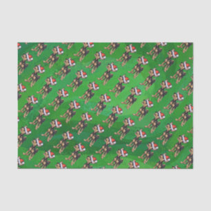 Chihuahua Weihnachten auf Grün Seidenpapier