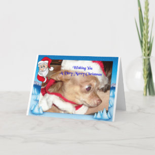 Chihuahua-Weihnachten Feiertagskarte