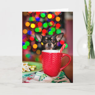 Chihuahua Weihnachten Karte